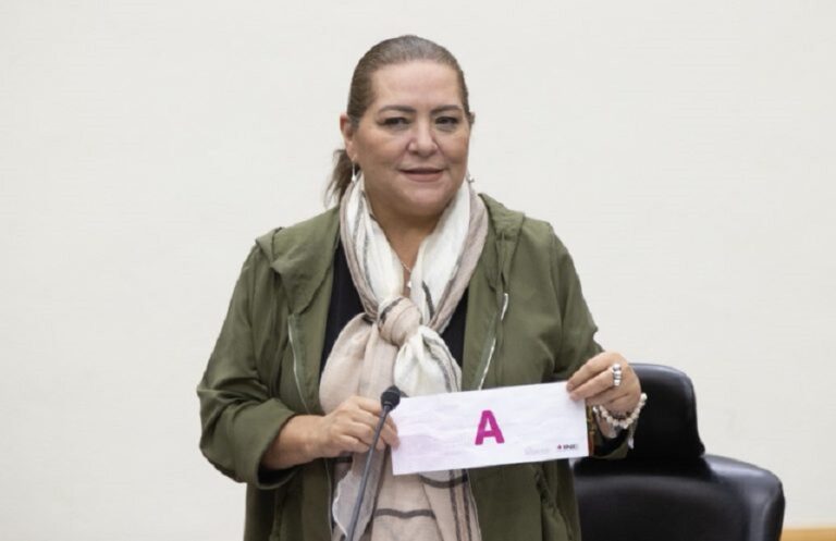 INE… Taddei espera participación del 70 por ciento