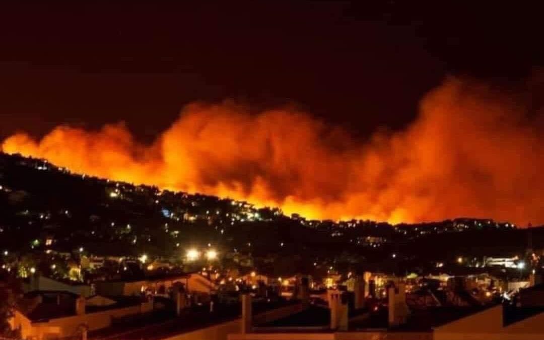 Incendios forestales, el viacrucis de cada año