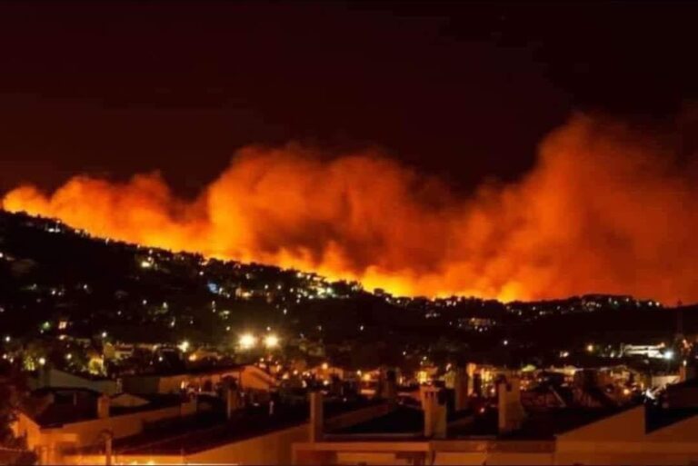 Incendios forestales, el viacrucis de cada año