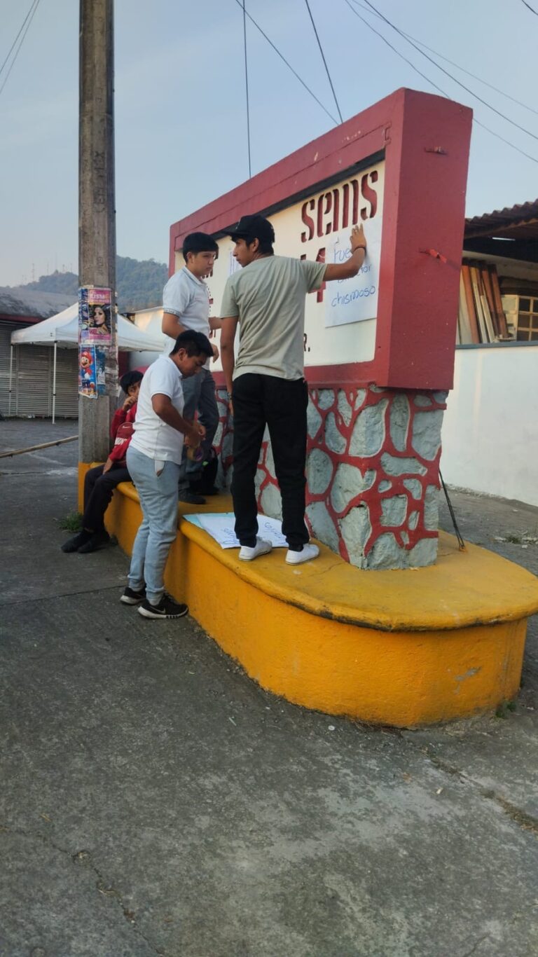 Toman Cetis de Fortín