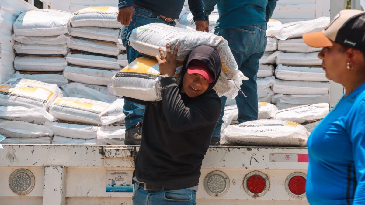 RECIBE NEXCA FERTILIZANTE SUBSIDIADO