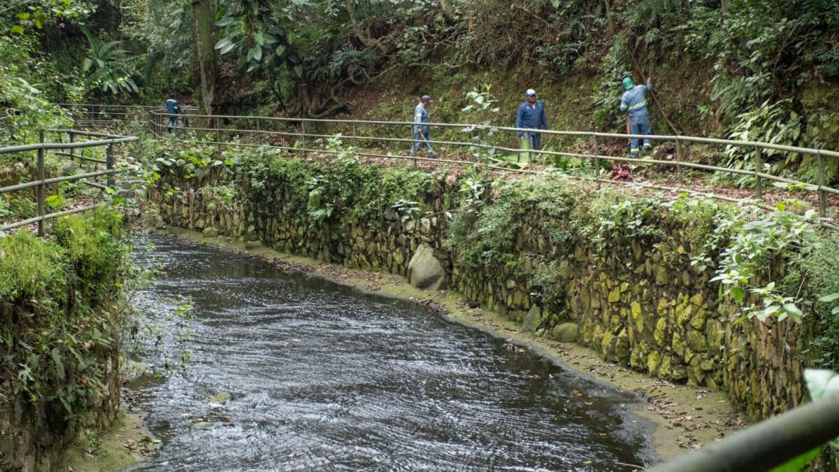 Detectan incremento de mapaches en la ribera del Rio San Antonio