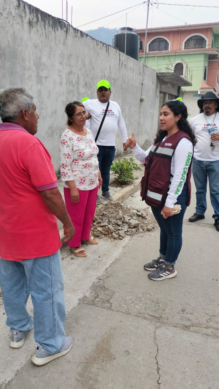 Se deben redoblar esfuerzos para la reforestación del Pico de Orizaba: Tania Cruz