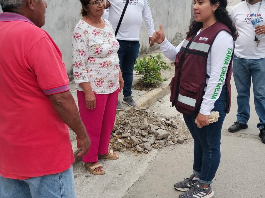 Se deben redoblar esfuerzos para la reforestación del Pico de Orizaba: Tania Cruz