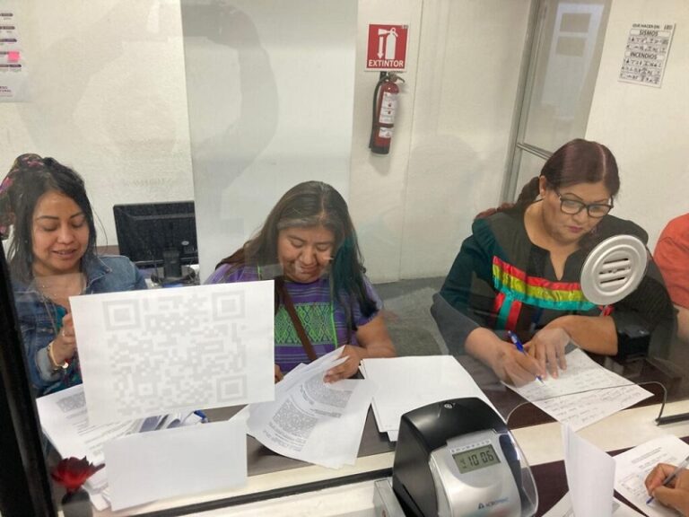 Defensoras de Baja California impugnan candidaturas indígenas usurpadas por hombres .