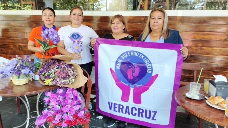 Veracruz, tercer lugar nacional en casos de Violencia Vicaría.