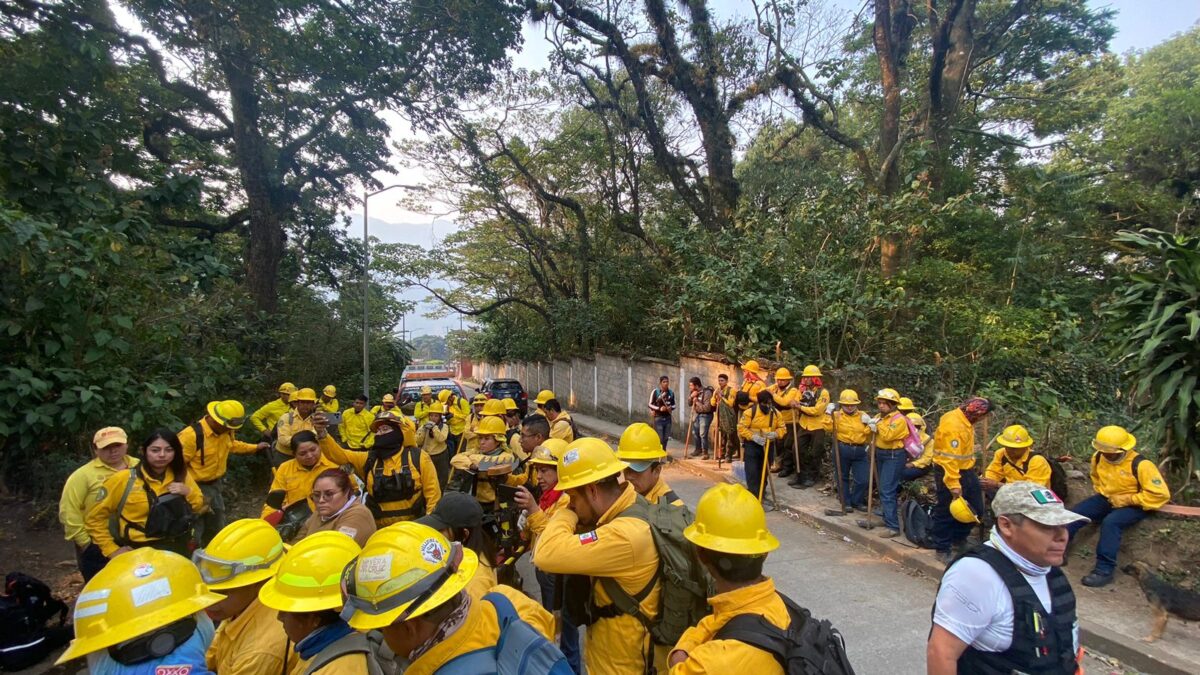 GOBIERNO DEL ESTADO ATIENDE INCENDIO FORESTAL EN RÍO BLANCO.