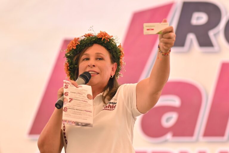 ENVÍA MENSAJE ROCÍO NAHLE AL PRIAN: PERDIERON DESDE HACE RATO Y NO SE HAN DADO CUENTA, TOMEN AMLODIPINO LES RECOMIENDA.