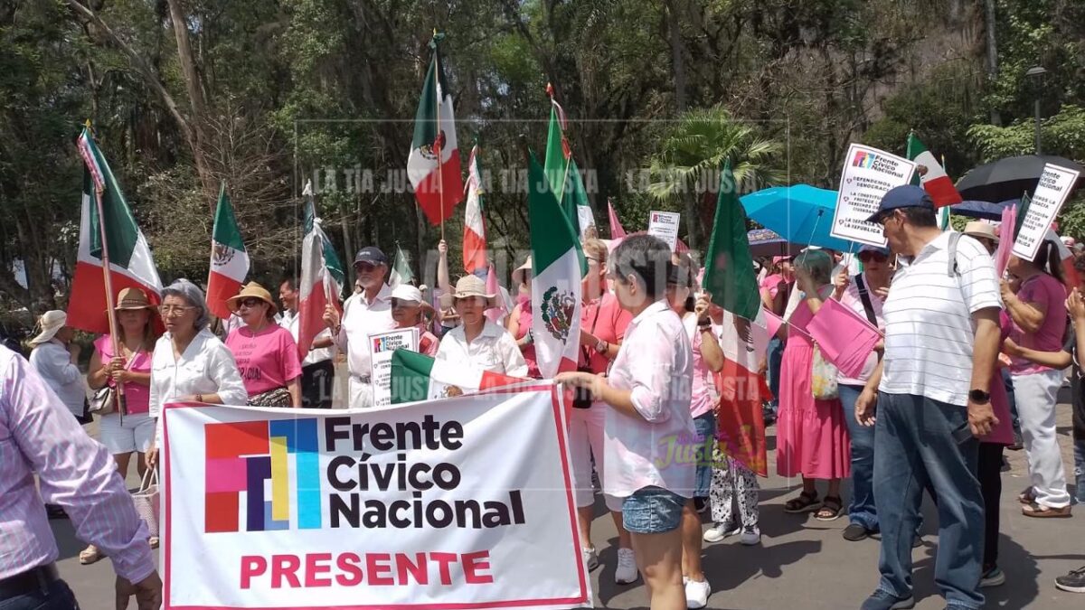 Marcha “Marea Rosa” en Orizaba