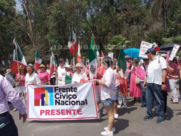 Marcha “Marea Rosa” en Orizaba