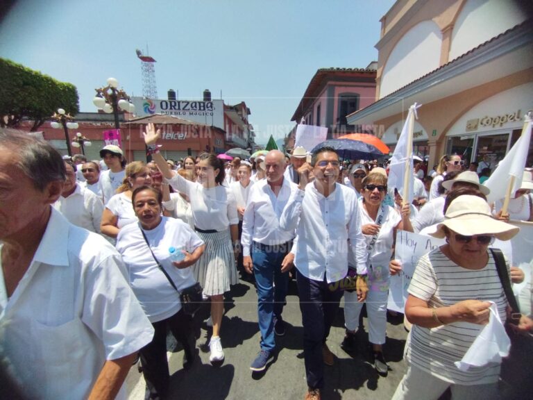 Marchan por la Democracia