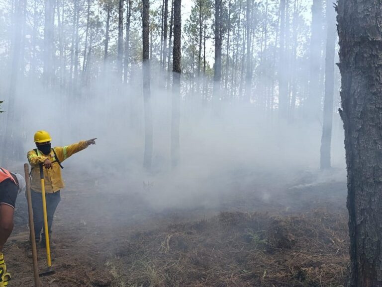 Fuerzas de tarea trabajan en atención a tres incendios forestales.
