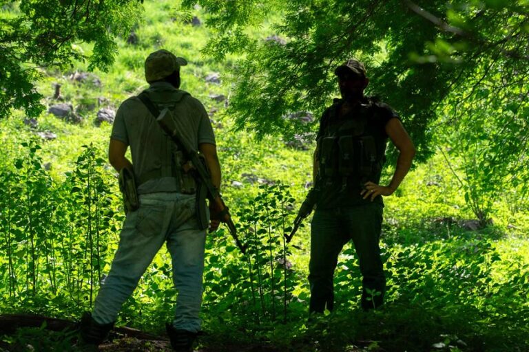 Informe del International Crisis Group involucra al Ejército mexicano en ejecución de 400 miembros del CJNG en sexenio de AMLO