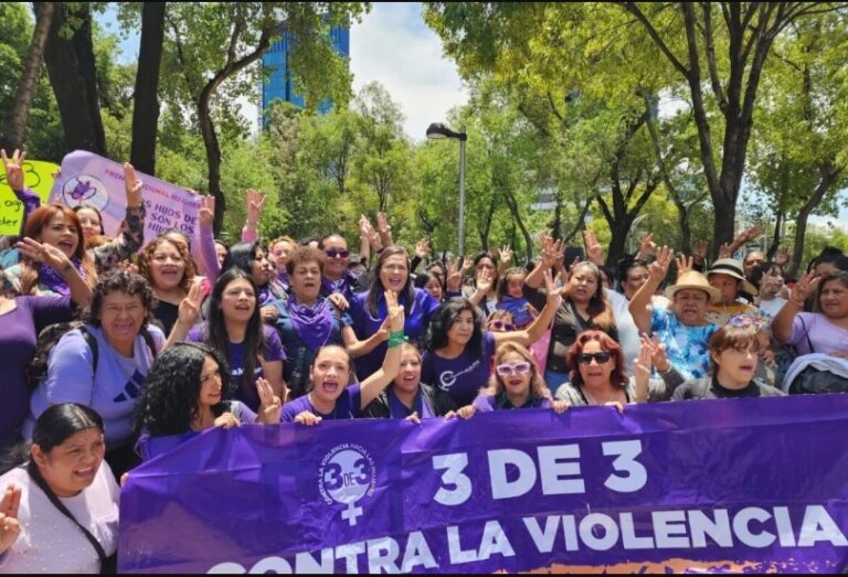 A un año de su aprobación, Ley 3 de 3 sin resultados .