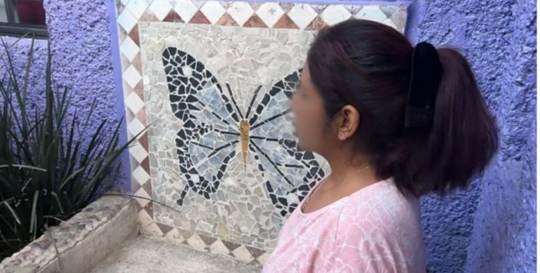 Las violencias contra las mujeres, su invisibilización en agendas gubernamentales