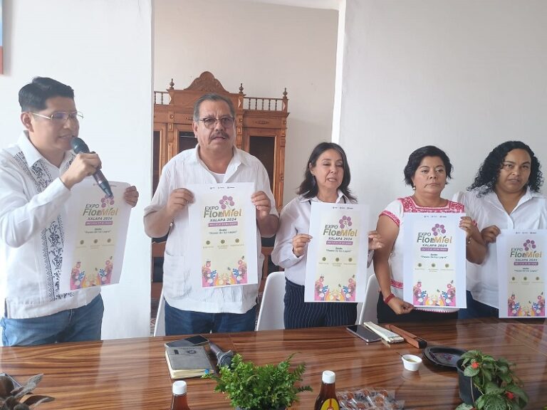 En Veracruz se produce mucha miel y se consume muy poco: Productores .