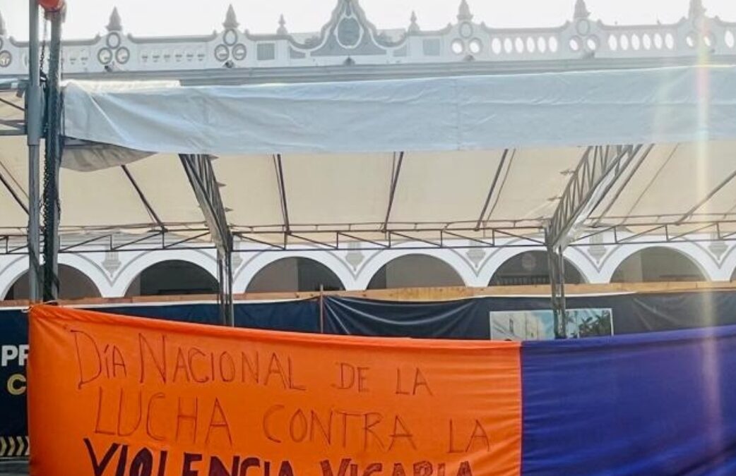 Colectivas contra la Violencia Vicaria en Veracruz demandan al Congreso legislen sobre este delito.