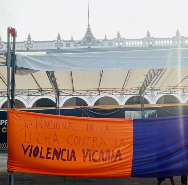 Colectivas contra la Violencia Vicaria en Veracruz demandan al Congreso legislen sobre este delito.