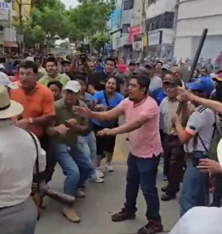 #Video: ni golpeando mujeres, ni con palos la CNTE impidió que el Zócalo fuera de la Marea Rosa