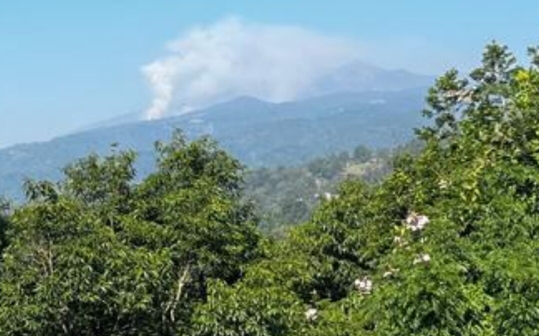 Reportan incendio forestal en Paso Panal de Xico.
