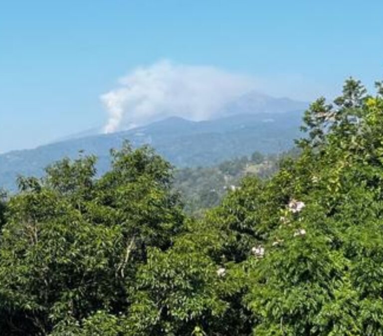 Reportan incendio forestal en Paso Panal de Xico.