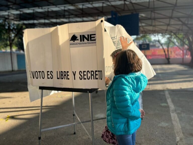 El voto es sorprendentemente poderoso