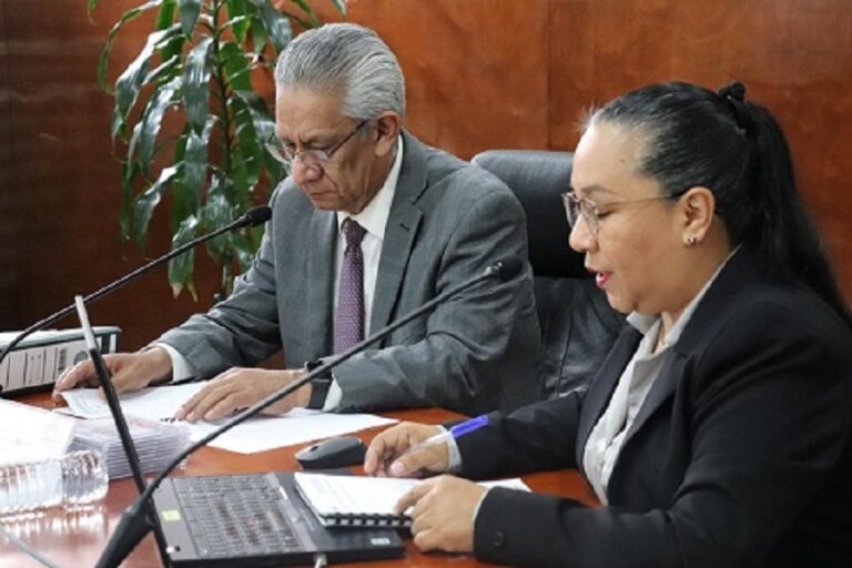 INE Veracruz destruyó 167 mil 432 credenciales para votar sin vigencia .