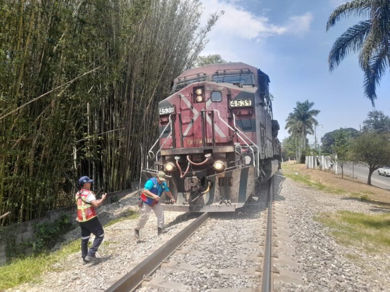 Se descarrila tren en Crucero Nacional