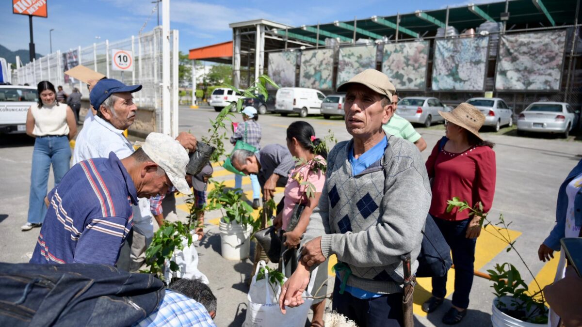 Campesinos del programa “Sembrando Vida” reforestan el bulevar “Tratados de Córdoba”
