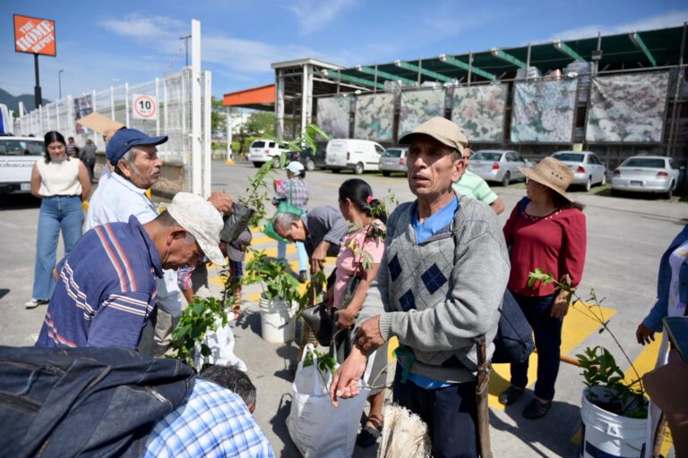 Campesinos del programa “Sembrando Vida” reforestan el bulevar “Tratados de Córdoba”