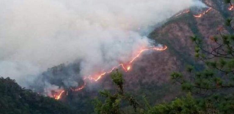 Chimalapas en Llamas.