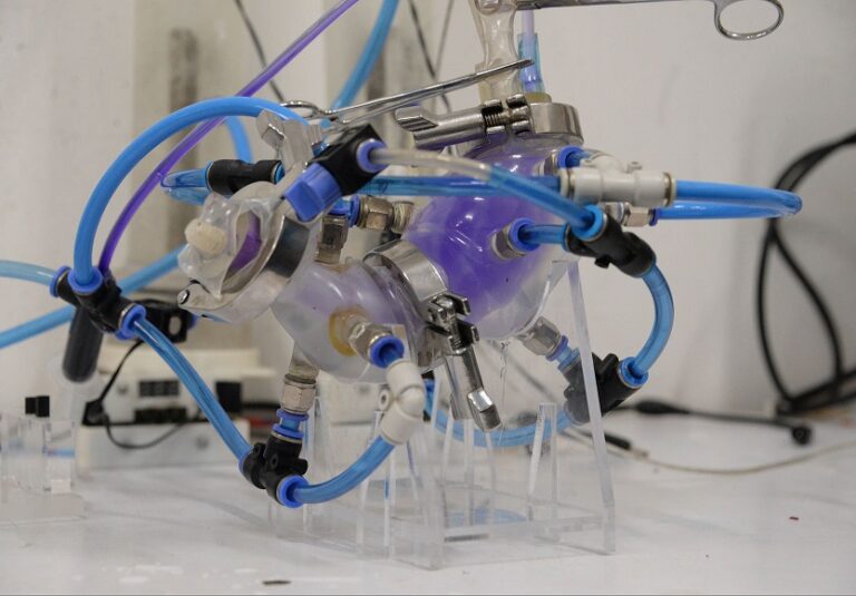 Crean universitarios estómago artificial que imita funciones del órgano humano.