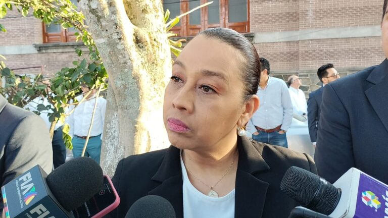 Solo han recibido seis denuncia en cinco dias por presuntos delitos electorales: Fiscal Marcela Aguilera