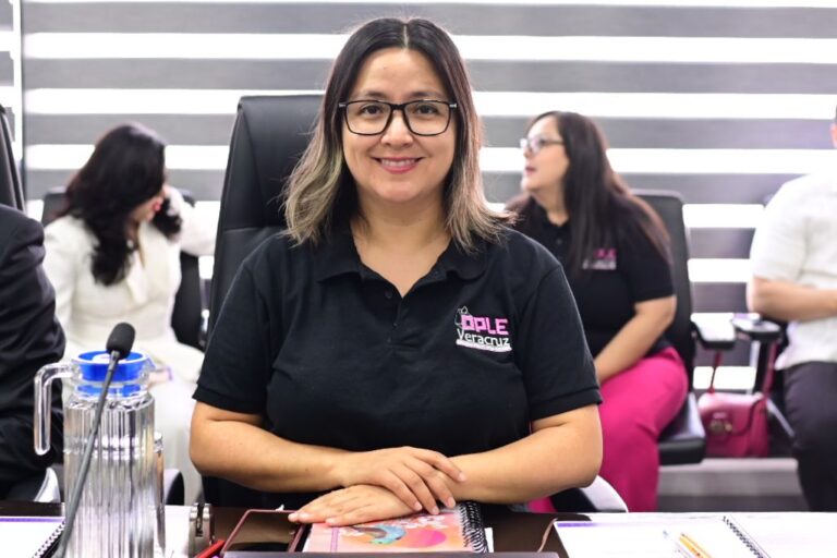 Consejera Mabel Hernández Meneses lamenta que se normalicen los crímenes contra candidatas y candidatos.