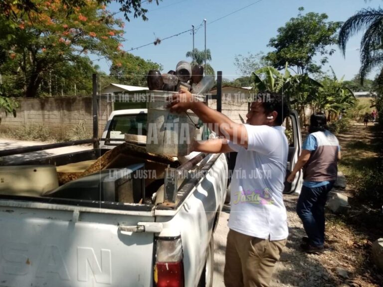 Aguas con el dengue