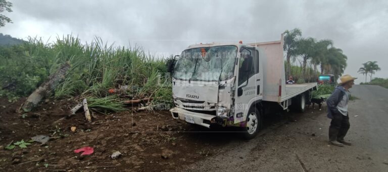 Mueren al chocar contra palmera