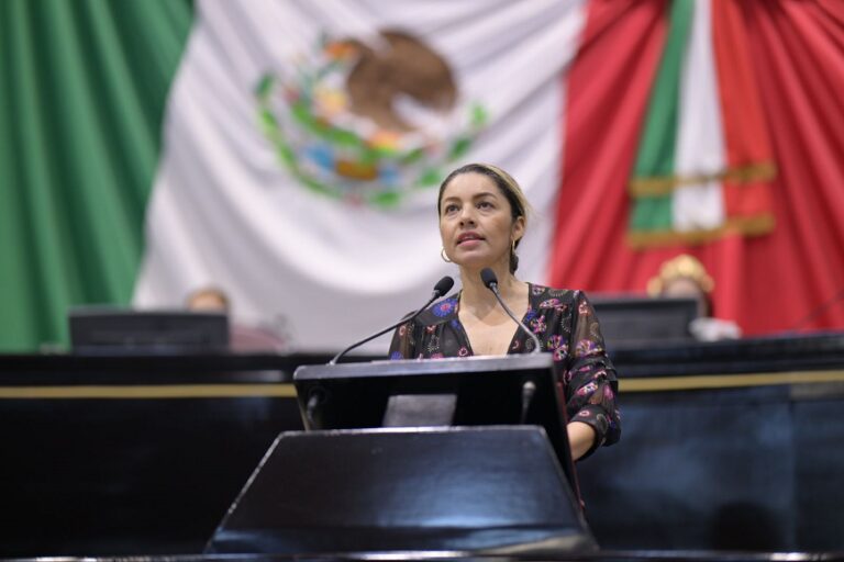 Propone Diputada iniciativa que reformaría el Código Electoral.