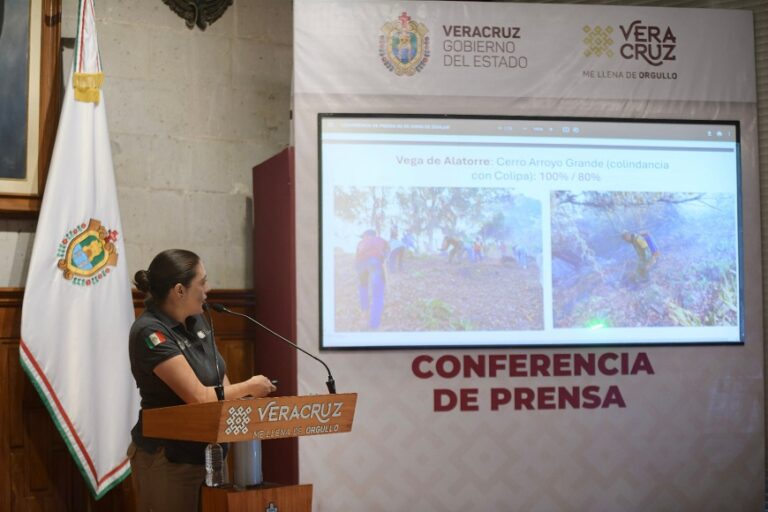 En un día se activaron 8 incendios más en #Veracruz, ya suman 23 .