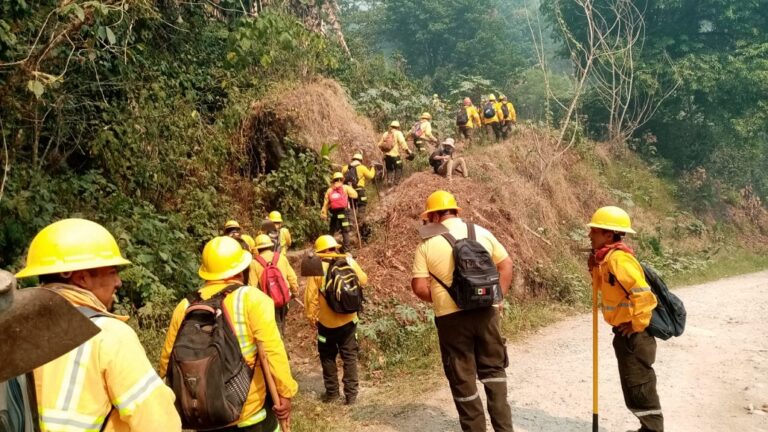 Gobierno de Veracruz dice que incendio de Quimixtlán no está del lado de Veracruz
