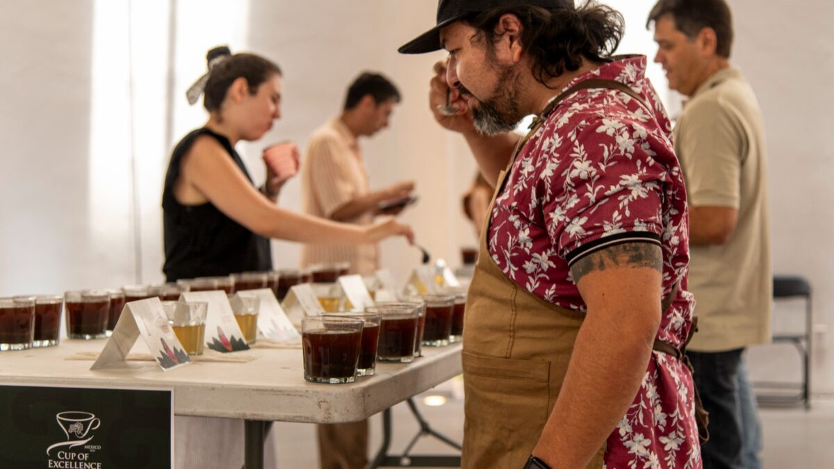 Se conocerá a los ganadores de “Taza de excelencia 2024” la próxima semana