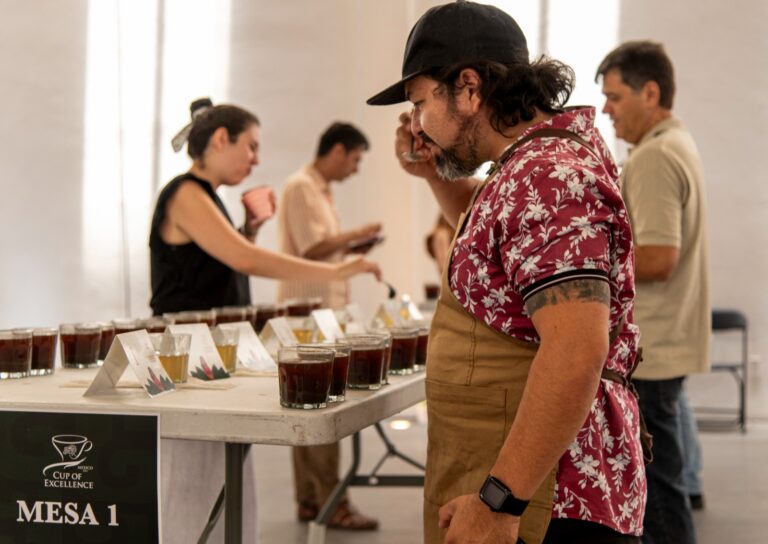 Se conocerá a los ganadores de “Taza de excelencia 2024” la próxima semana