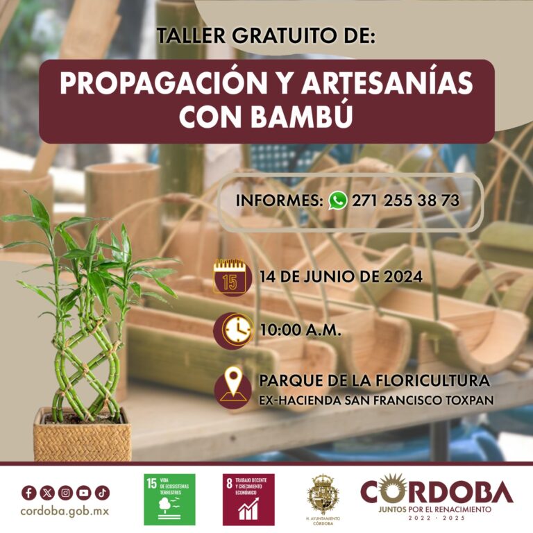 Inicia taller para el aprovechamiento en artesanías y propagación del bambú en Córdoba