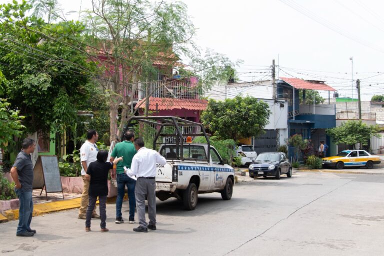 Anuncia Ayuntamiento de Córdoba poda de árboles en Infonavit El Dorado