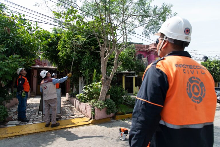 Podan árboles en el Infonavit El Dorado