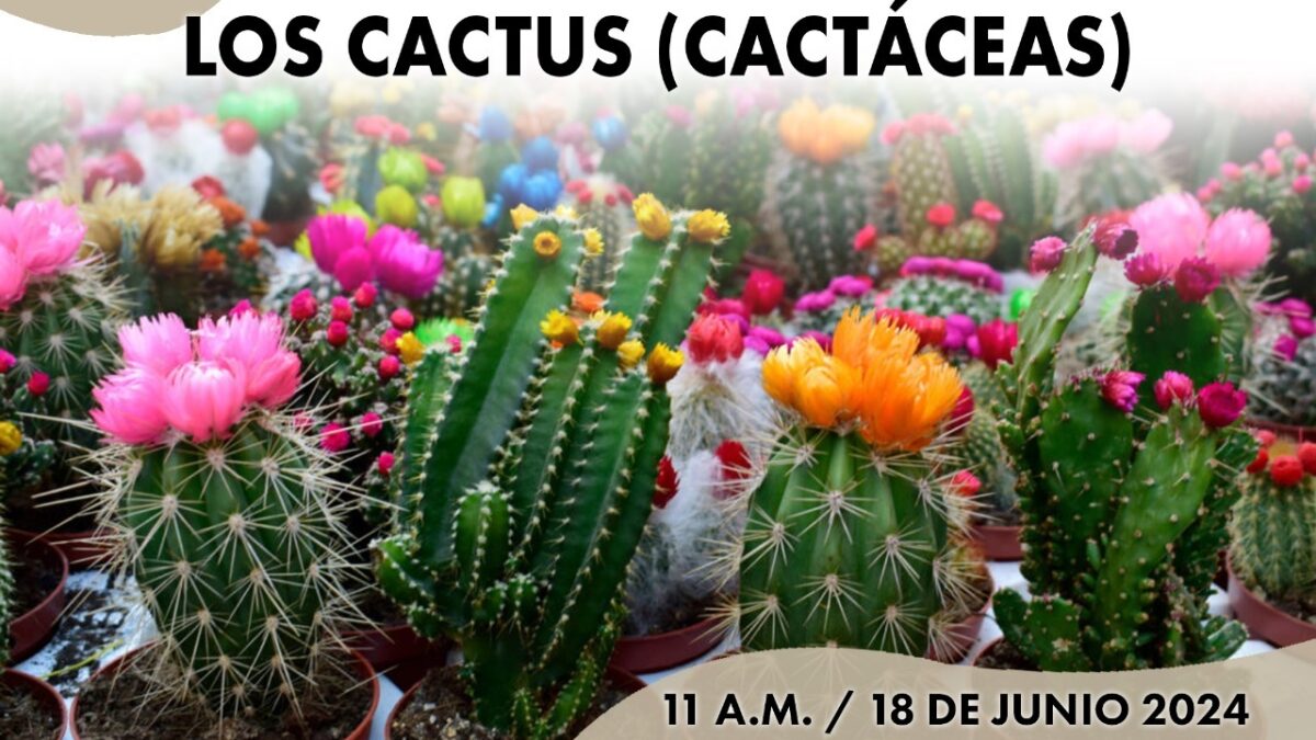Llaman a comerciantes y agricultores a participar en el taller de reproducción de cactáceas