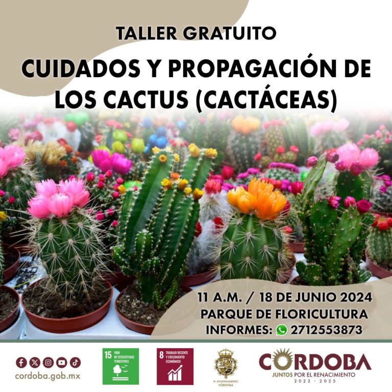 Llaman a comerciantes y agricultores a participar en el taller de reproducción de cactáceas