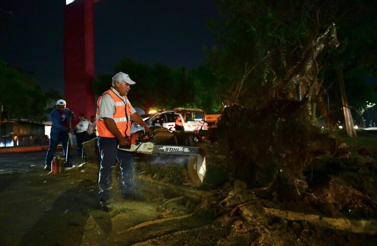 Atiende Protección Civil afectaciones por lluvias  #Xalapa.