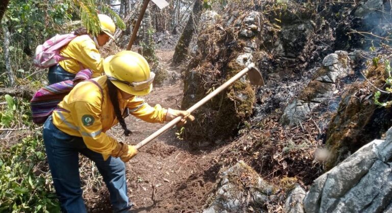 Veracruz se incendia con 17 siniestros en la entidad .