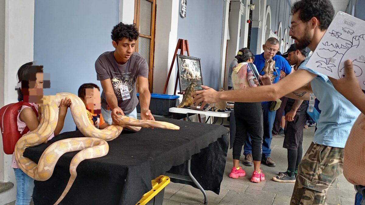 Inicia el Tercer Festival Mexicano de las Serpientes en Córdoba