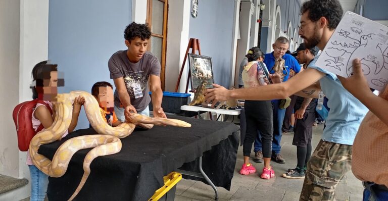Inicia el Tercer Festival Mexicano de las Serpientes en Córdoba